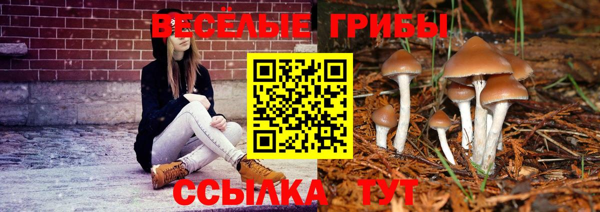 Галлюциногенные грибы ЛСД  Псилоцибиновые грибы мухоморы  Назрань  Вход с VPN 